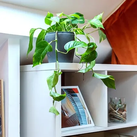 Le Nid Chromatique, Hyper Centre Appartement *