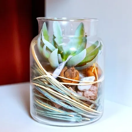 Le Nid Chromatique, Hyper Centre باليزو