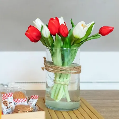 Le Nid Chromatique, Hyper Centre باليزو