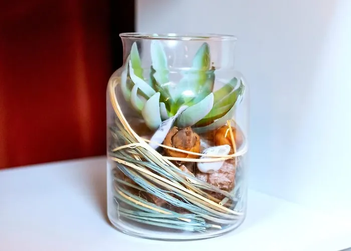 Le Nid Chromatique, Hyper Centre 팔레조